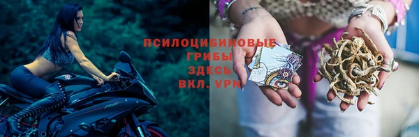 прущая мука Мегион