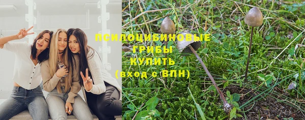 дмт Бабаево