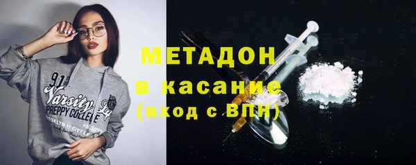 гидра Ахтубинск
