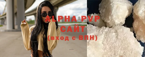 шишки Медвежьегорск