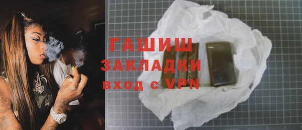 шишки Медвежьегорск