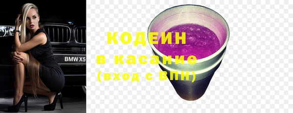apvp Аша