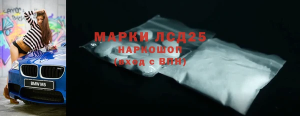 шишки Медвежьегорск