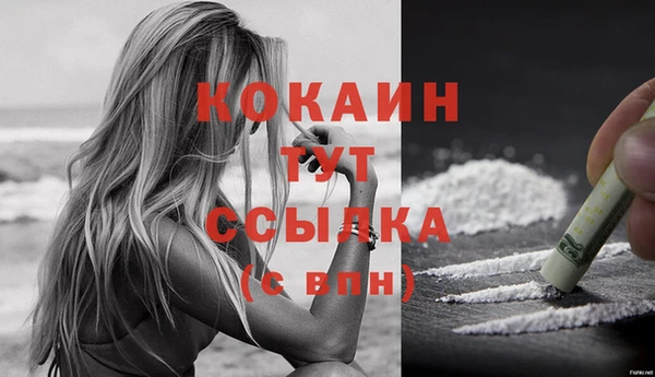 apvp Аша