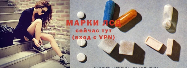 гидра Ахтубинск