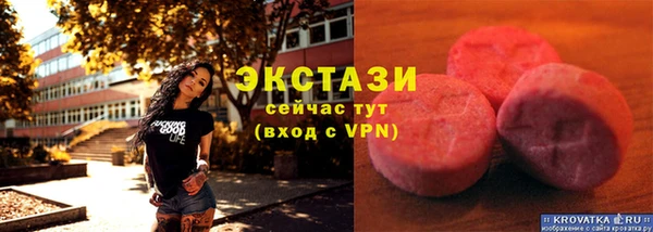 шишки Медвежьегорск