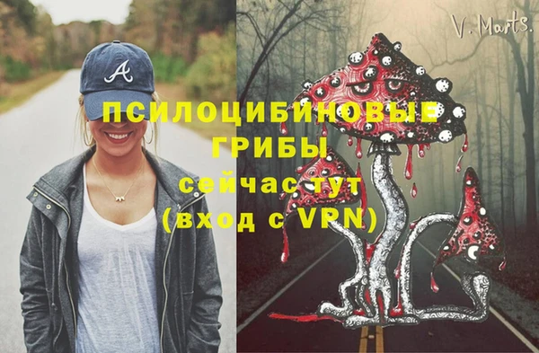 шишки Медвежьегорск
