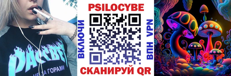 купить закладку Гаврилов Посад Псилоцибиновые грибы прущие грибы