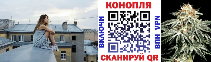 наркота  Гаврилов Посад  кракен зеркало  Бошки марихуана план 